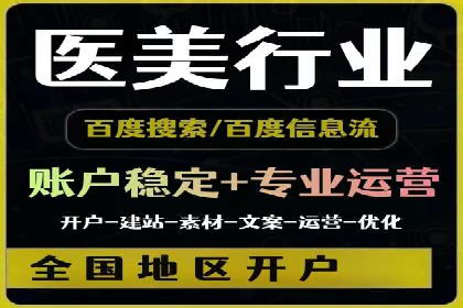 案例分析：高效信息流广告投放策略